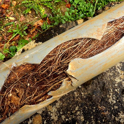 The Drain & Sewer Professionals In Henley Beach